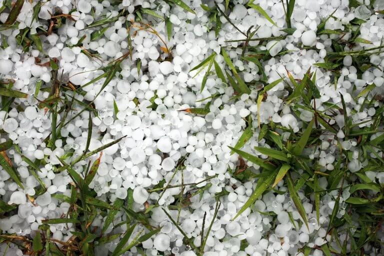 Expert Roofing Assistance After the April 27, 2023 Hailstorm in Florida